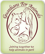 Guardians For Animals
